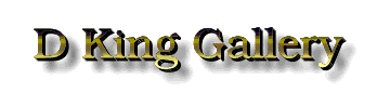 D. King Gallery logo