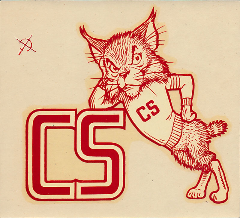 Chico State College Decal