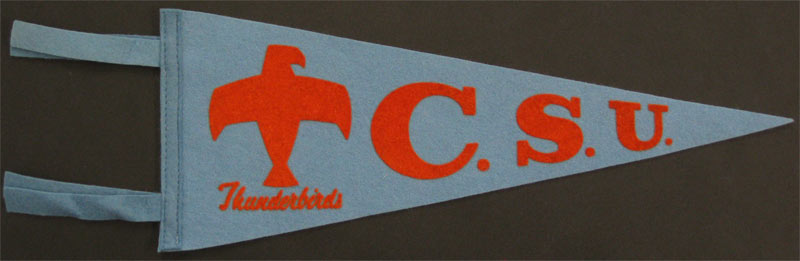 CSU Thunderbirds College of Southern Utah Pennant