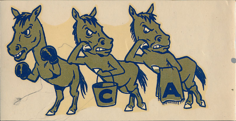 University of California Davis Aggies Decal