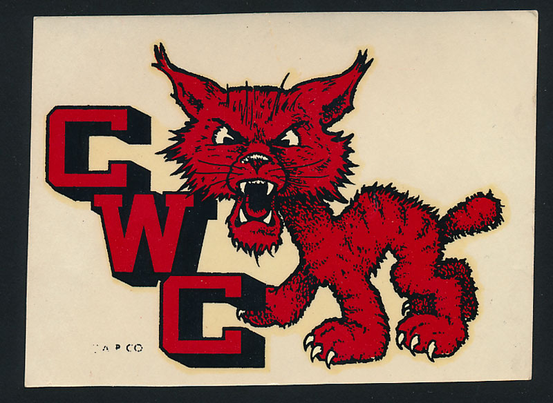 Central Washington College Decal