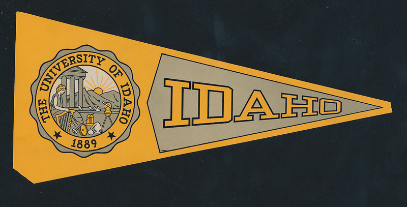 University of Idaho Vandals Decal