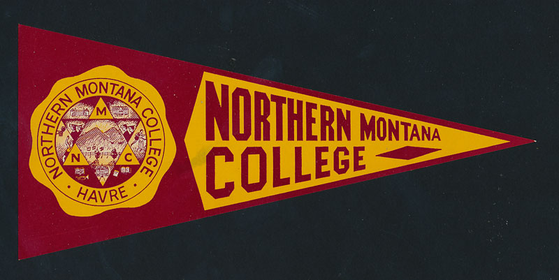 Northern Montana College Flag Decal