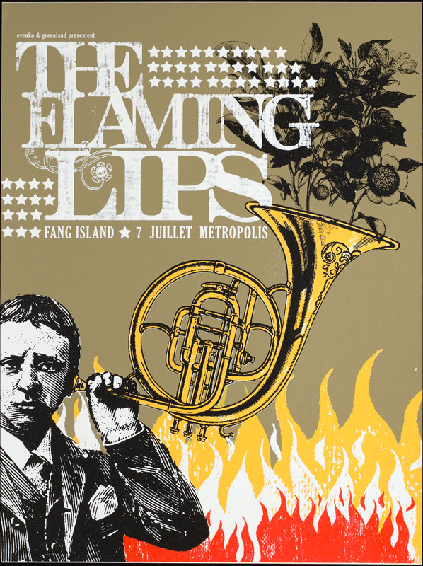Pat Hamou The Flaming Lips Poster