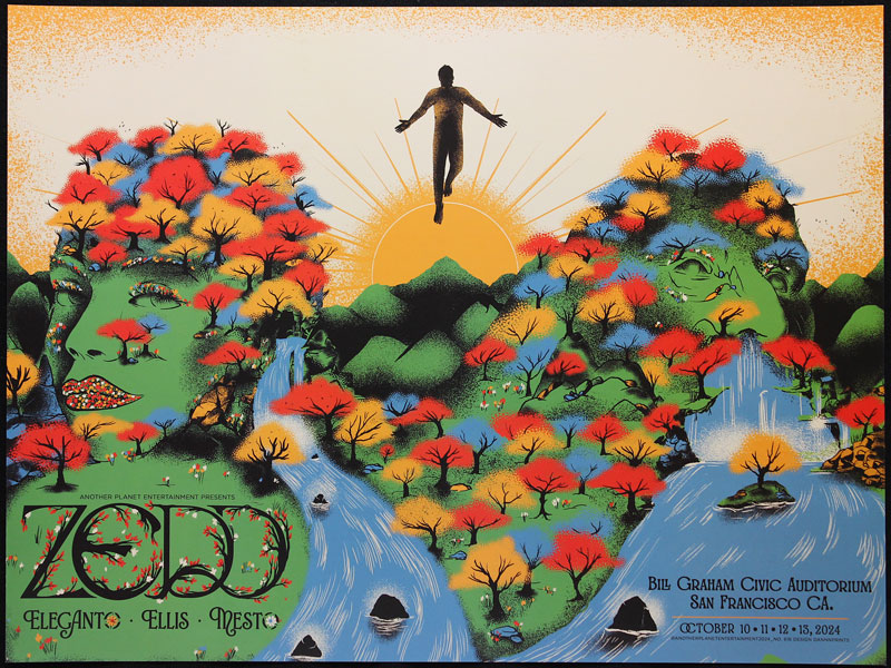 Dannnprints Zedd Poster