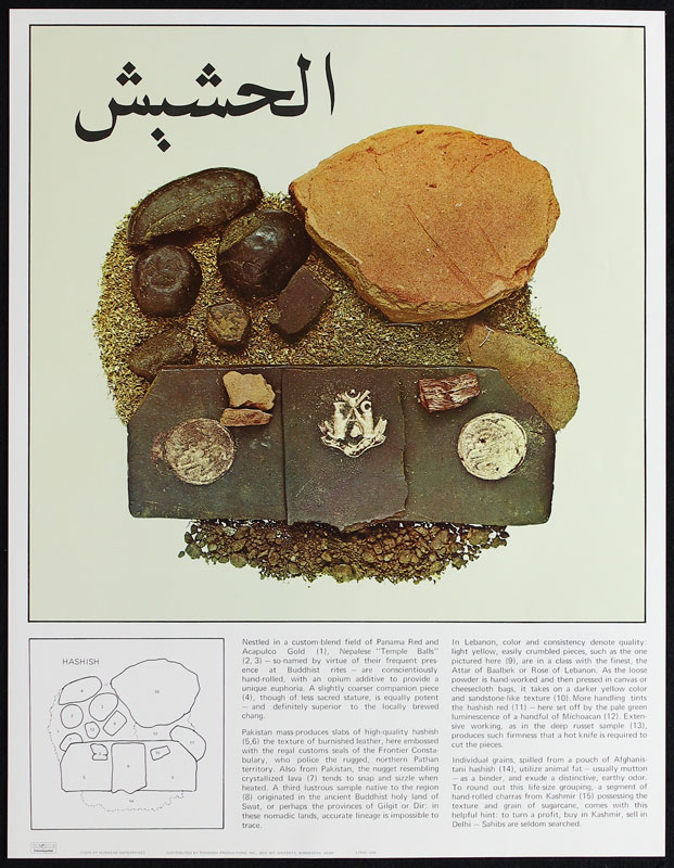 Connoisseur's Field Guide to 1960s Hashish and Marijuana Varieties Poster