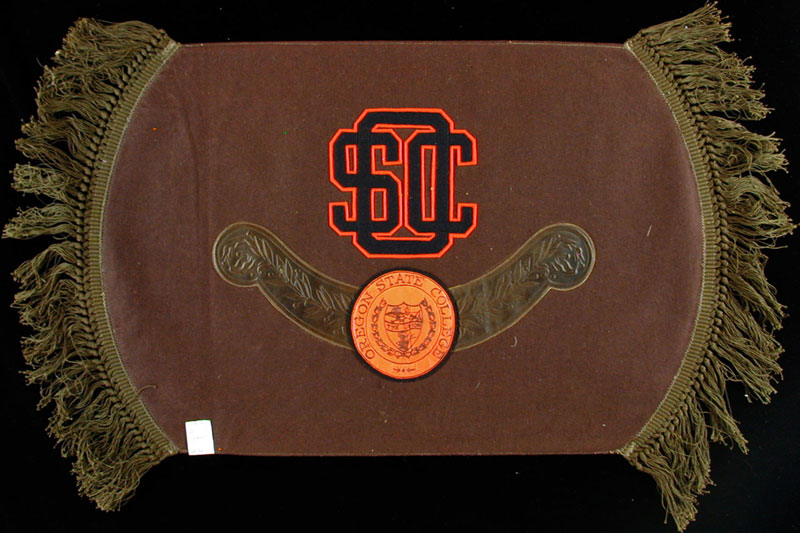 Oregon State Wool Felt and Leather Pillow Cover