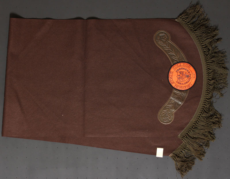 Oregon State Table Runner