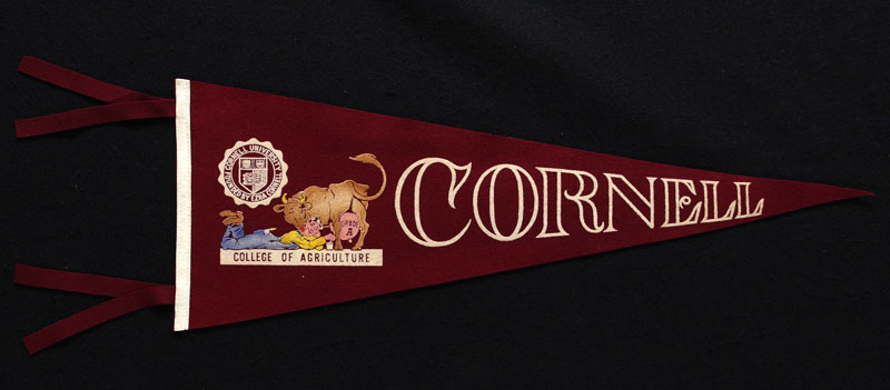 Cornell University - College of Agriculture Pennant