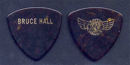 REO Speedwagon Bruce Hall Guitar Pick