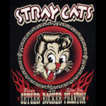 Stray Cats 2008 Orange County Concert Vintage T-Shirt