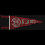 University of New Mexico Pennant