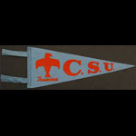 CSU Thunderbirds College of Southern Utah Pennant