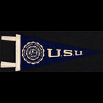 Utah State University Mini Pennant