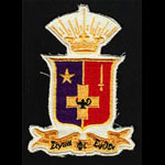 Sigma Phi Epsilon Fraternity Patch