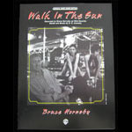 Bruce Hornsby Walk In The Sun 1995 Sheet Music