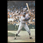 Photographer: Tony Tomsic Tony Oliva 1968 Minnesota Twins Baseball Poster