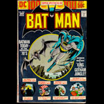 Batman #254 Comic Book