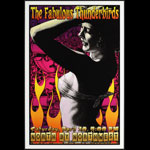 Scott Benge (FGX) Fabulous Thunderbirds Poster