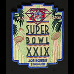 Super Bowl XXIX Patch