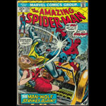 Amazing Spider-Man 125 Comic Book