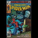 Amazing Spider-Man 181 Comic Book