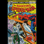 Amazing Spider-Man 189 Comic Book