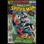 Amazing Spider-Man 190 Comic Book