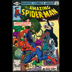 Amazing Spider-Man 204 Comic Book