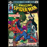 Amazing Spider-Man 204 Comic Book