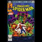 Amazing Spider-Man 207 Comic Book