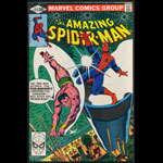 Amazing Spider-Man 211 Comic Book