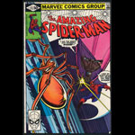 Amazing Spider-Man 213 Comic Book