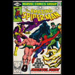 Amazing Spider-Man 214 Comic Book