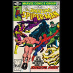 Amazing Spider-Man 214 Comic Book