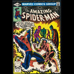 Amazing Spider-Man 215 Comic Book