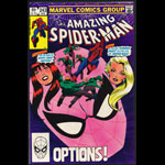 Amazing Spider-Man 243 Comic Book
