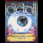 David Wildfong Grateful Dead & The Band 