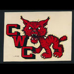 Central Washington College Decal