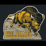 1920s University of Colorado Buffaloes Sticker
