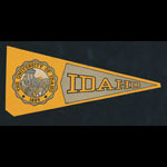 University of Idaho Vandals Decal