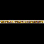 Montana State University Decal
