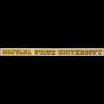 Montana State University Decal