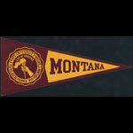 Montana State University Decal