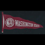 Washington State College (State College of Washington) Decal