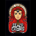 The Black Crowes 2009 Fillmore F1033 Poster