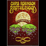 Chris Robinson Brotherhood 2015 Fillmore F1378 Poster
