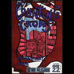 Counting Crows 1994 Fillmore F145 Poster