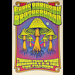 Chris Robinson Brotherhood 2016 Fillmore F1451 Poster