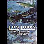 Los Lobos 2000 Fillmore F398 Poster